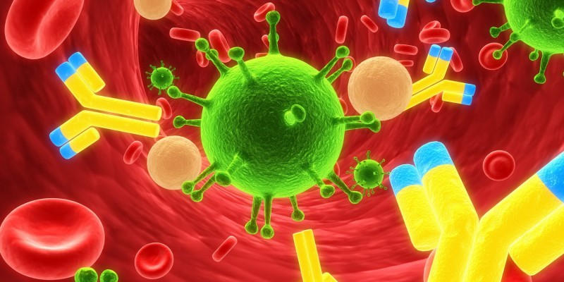 Über eine Blutuntersuchung können IgM-Antikörper nachgewiesen werden