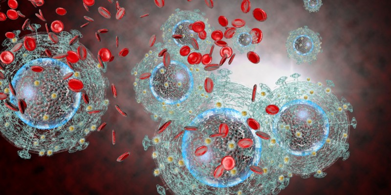 HI-Viren und rote Blutkörperchen