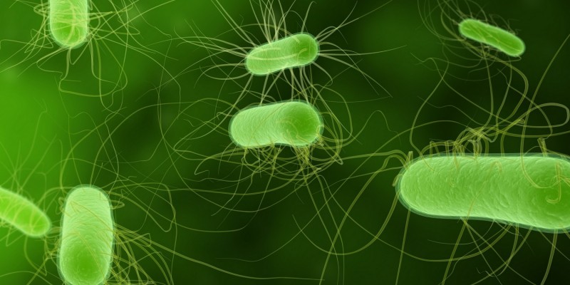Auslöser der Diphtherie sind Bakterien