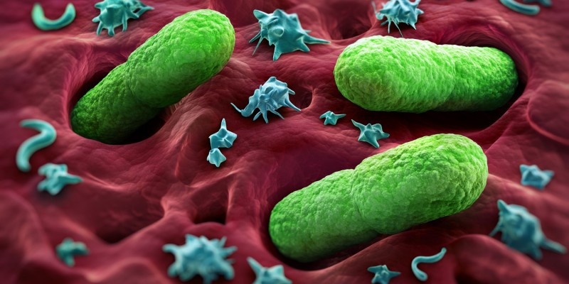 Bakterien sind für die Infektion verantwortlich