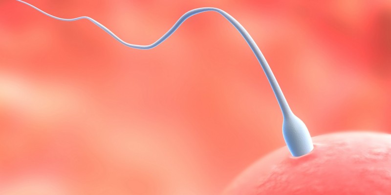 Nach der Befruchtung kann es in den ersten Schwangerschaftswochen zu Zwischenblutungen kommen